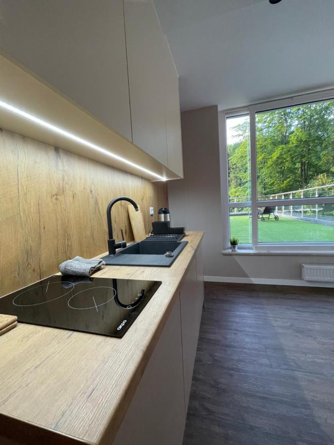 Apartament Kurort Kozubnik - Taras Nad Potokiem Porabka Экстерьер фото