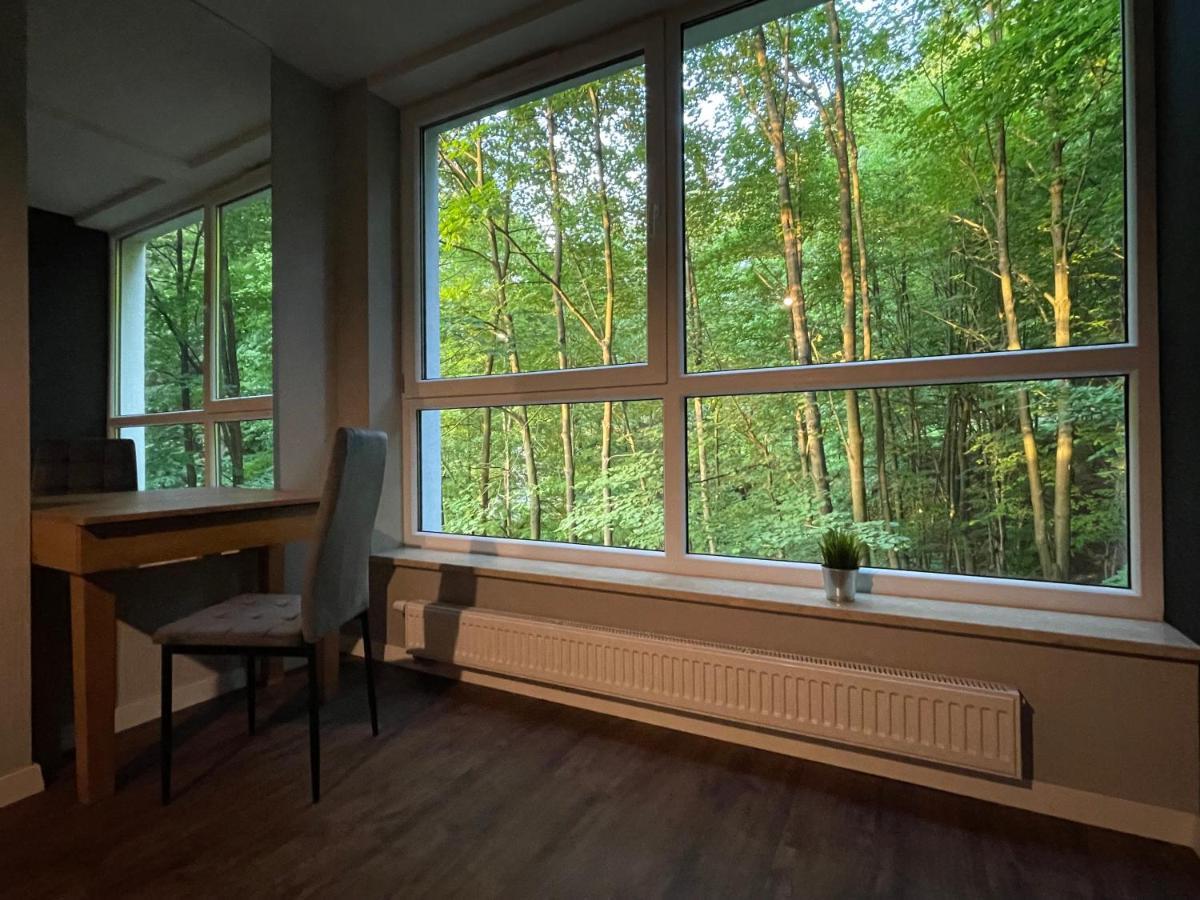 Apartament Kurort Kozubnik - Taras Nad Potokiem Porabka Экстерьер фото