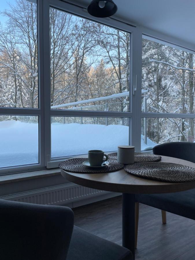 Apartament Kurort Kozubnik - Taras Nad Potokiem Porabka Экстерьер фото